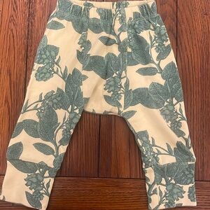 Kate Quinn pants
